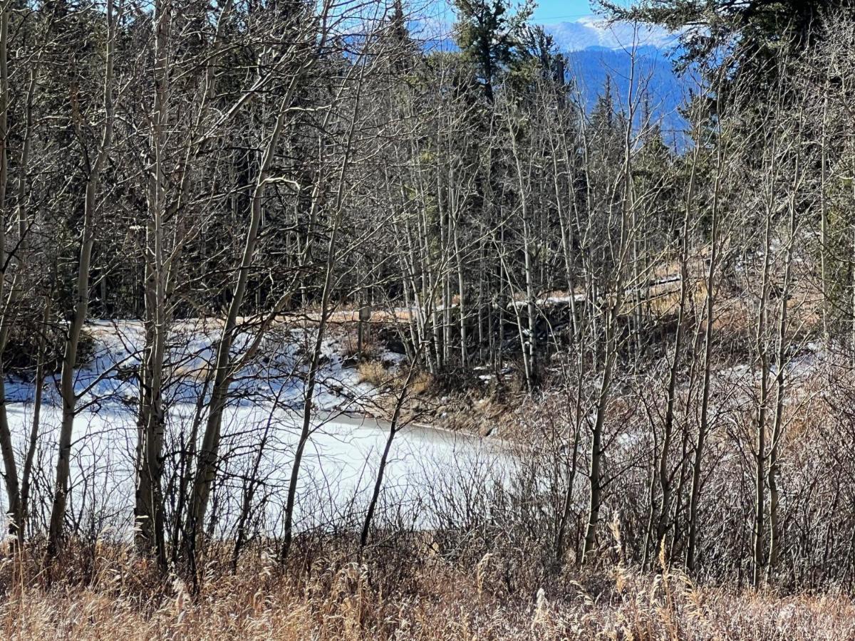 Meandering Moose Apartment Vacation Rental Black Hawk Luaran gambar