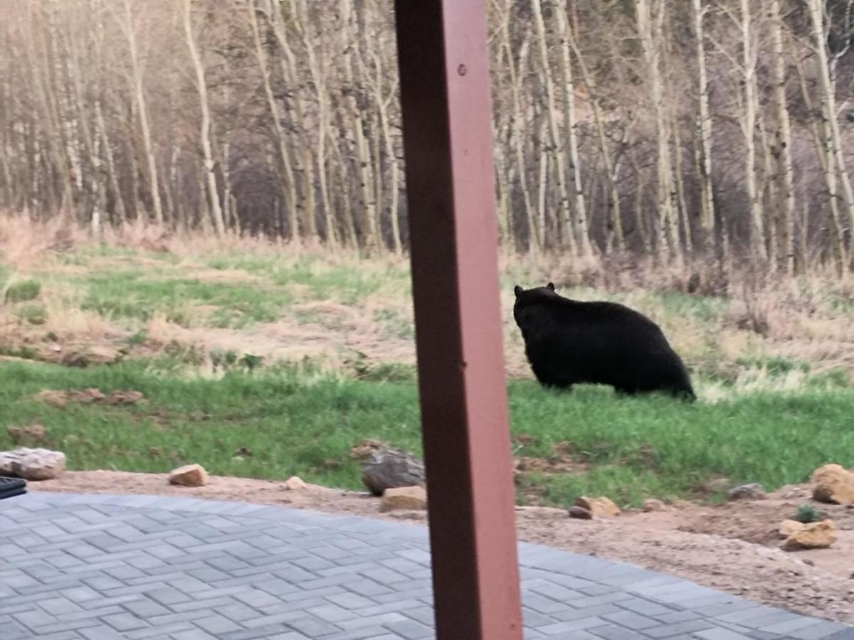 Meandering Moose Apartment Vacation Rental Black Hawk Luaran gambar
